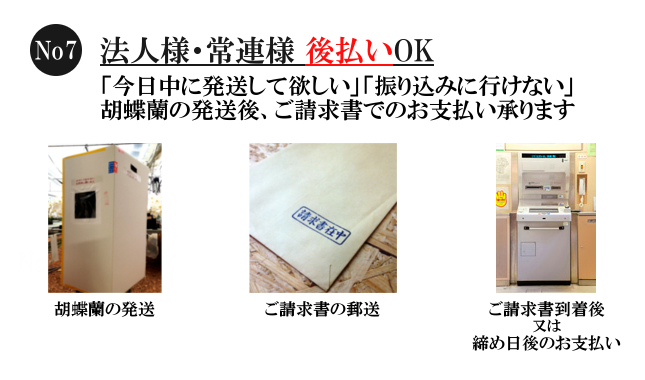 胡蝶蘭の後払いサービス