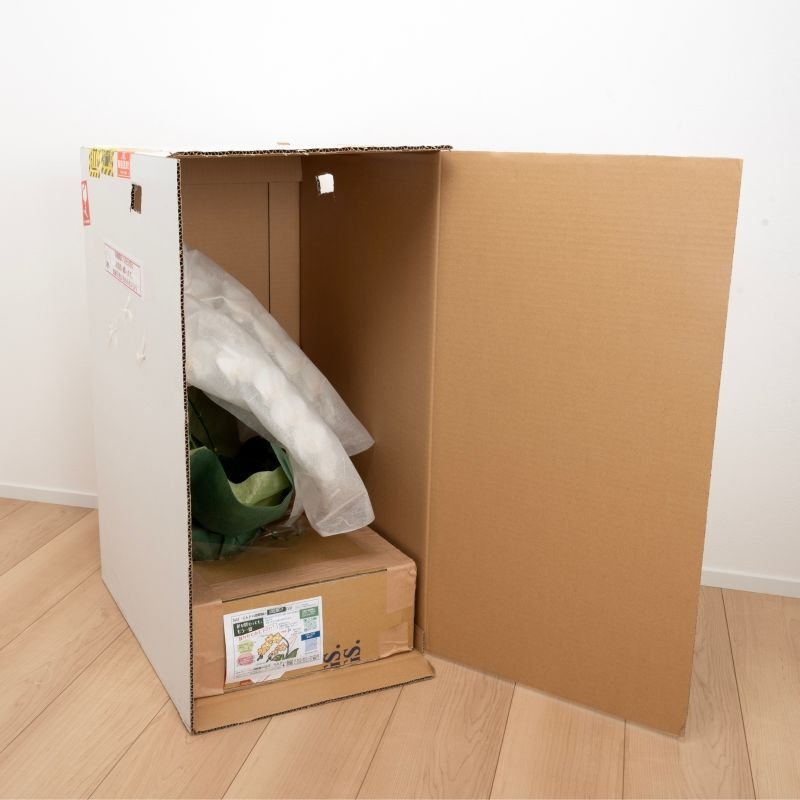 画像7: アレンジミディ胡蝶蘭3本立ち