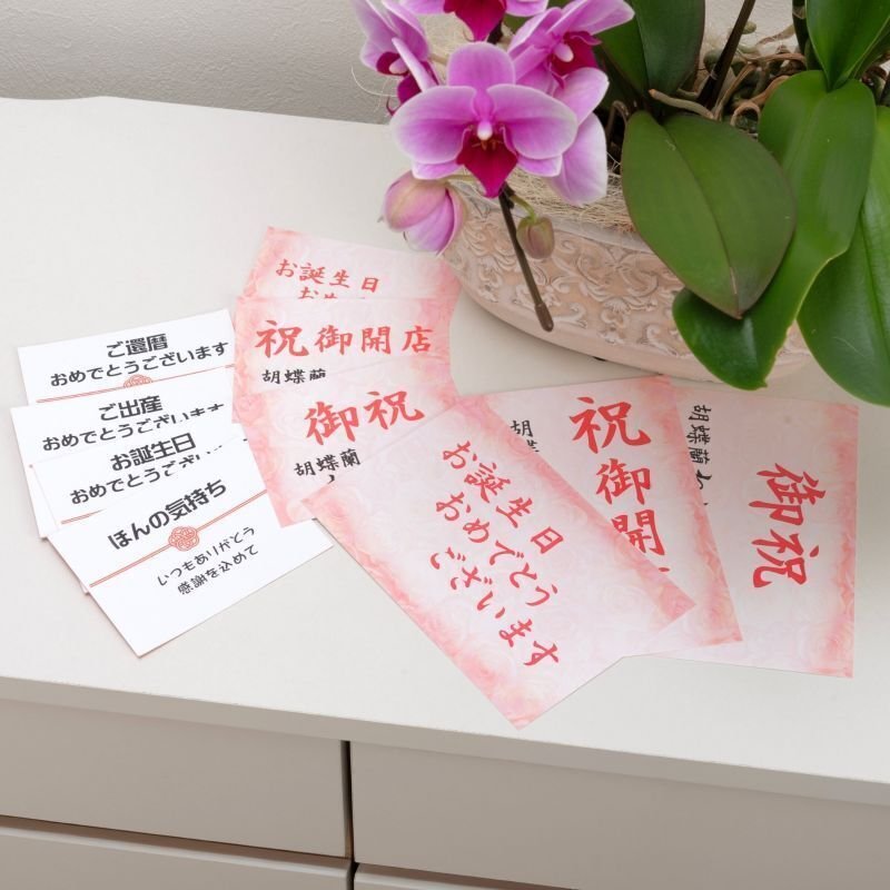 画像6: アレンジミディ胡蝶蘭3本立ち