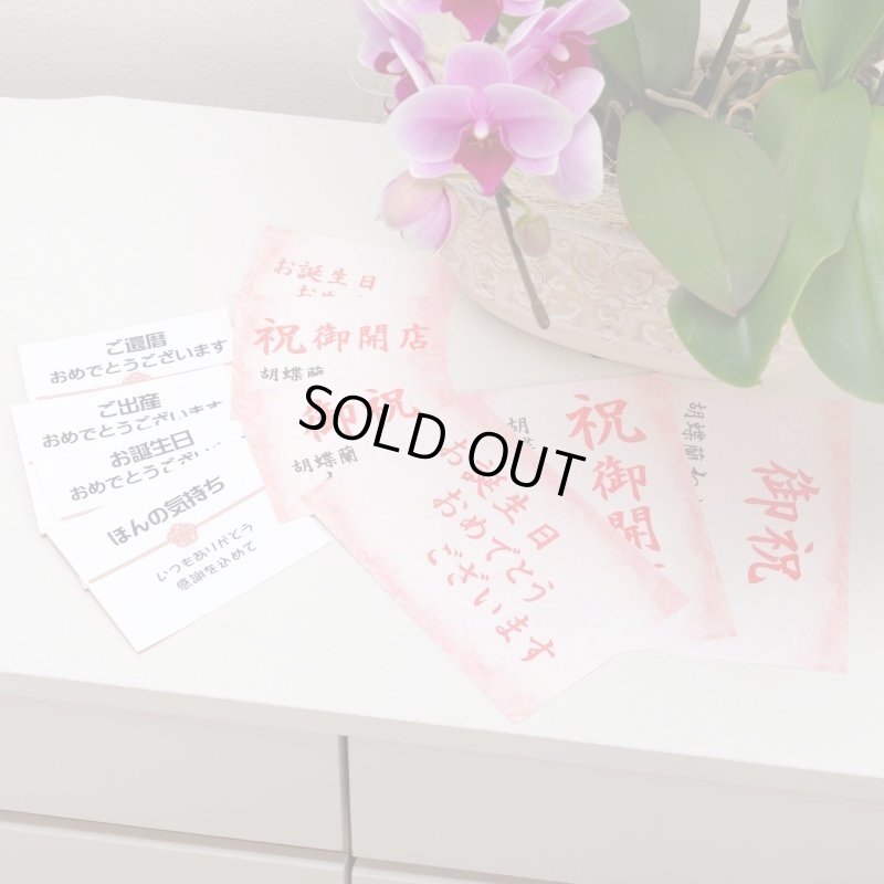 画像9: ミディ胡蝶蘭2本立ち【アーチ】